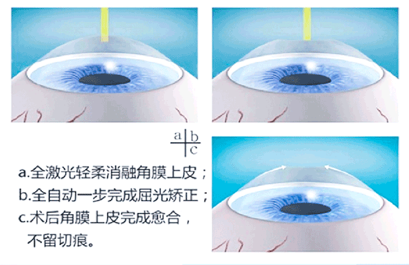 d4ac496a424ae2b1927d43008537e5bc.png