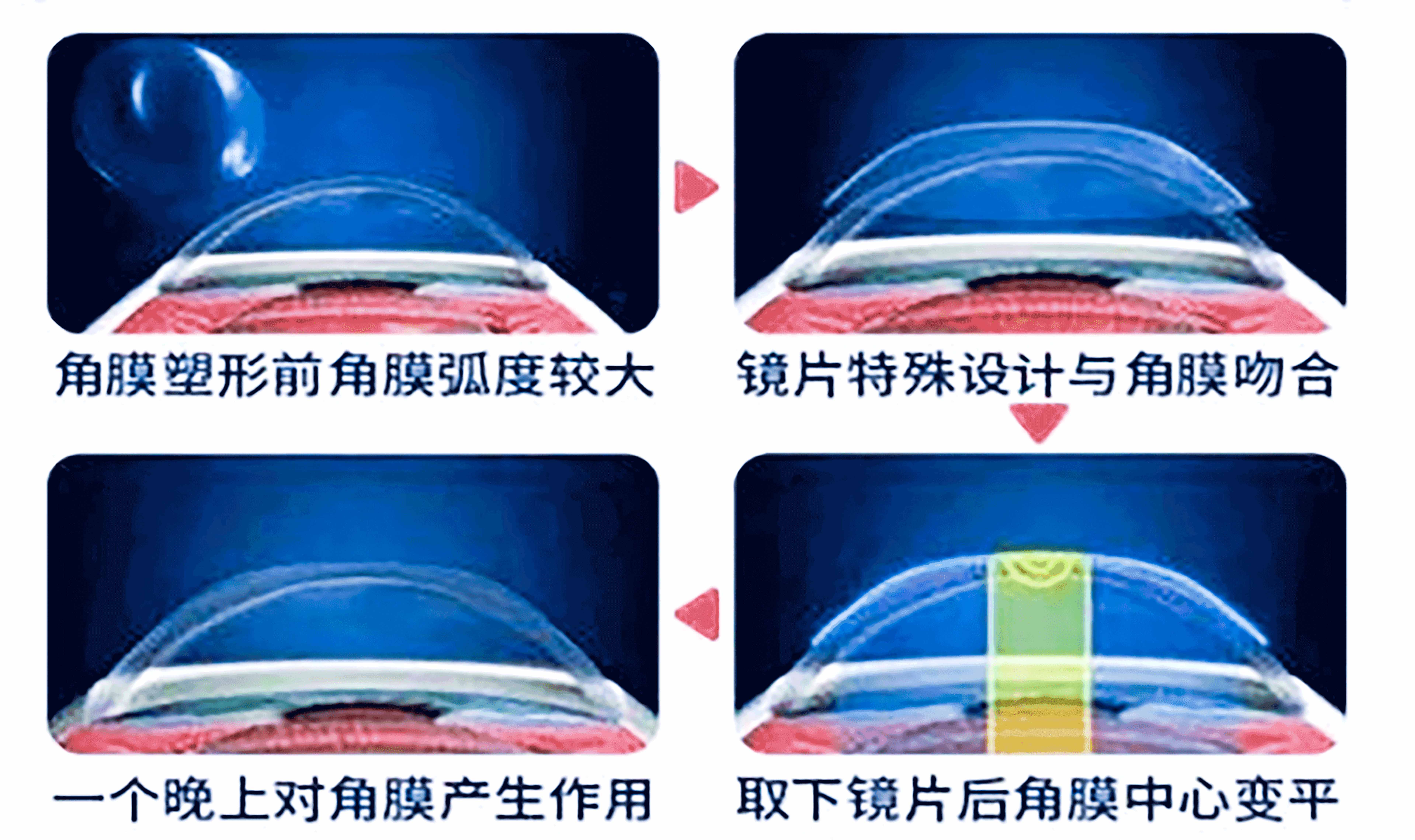 67a0810a98d298109338995652b9a36e.jpg